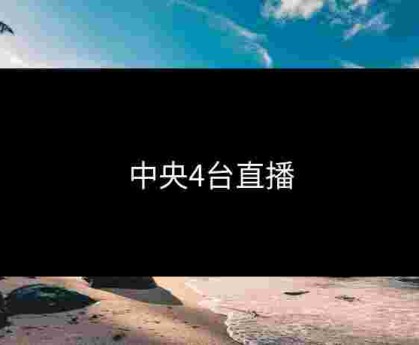 中央4台直播