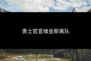 勇士官宣维金斯离队