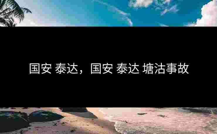 国安 泰达，国安 泰达 塘沽事故
