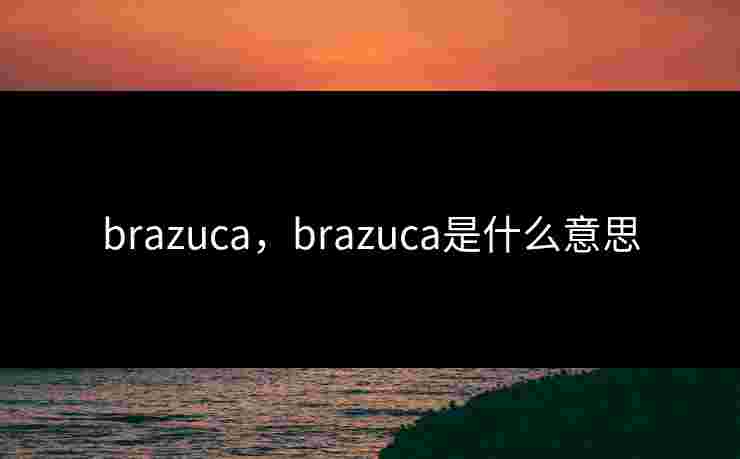 brazuca，brazuca是什么意思